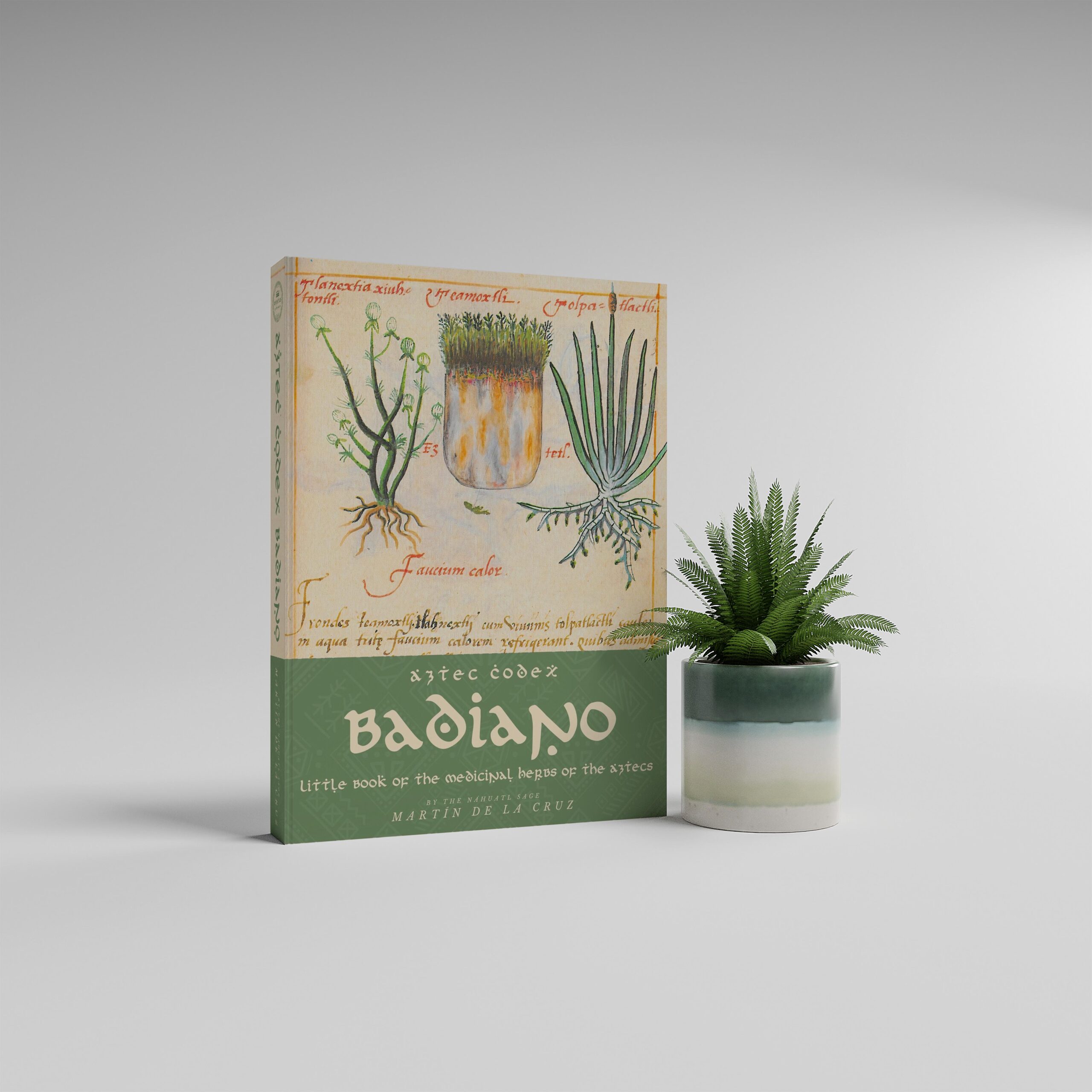 , Luggage Landing Page