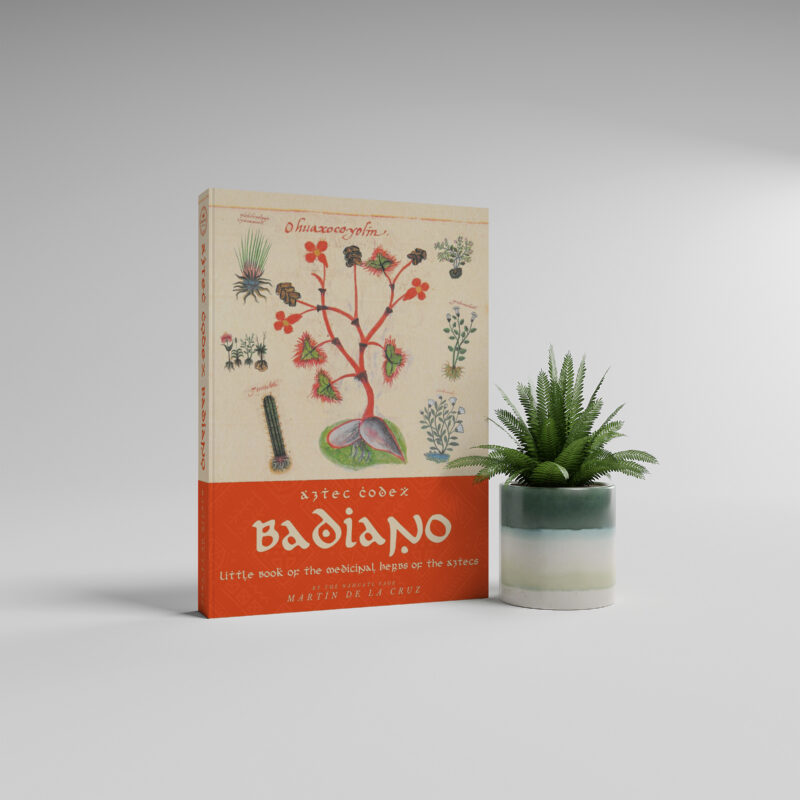 , Luggage Landing Page